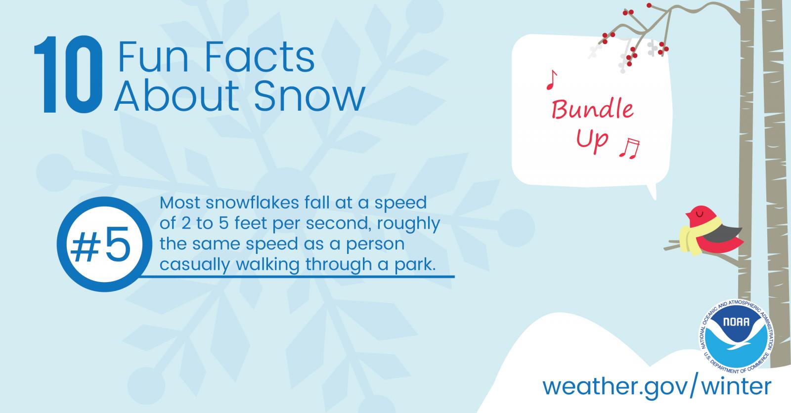 10 Fun Facts About Snow: #5. Most snowflakes fall at a speed of 2 to 5 feet per second, roughly the same speed as a person casually walking through a park.